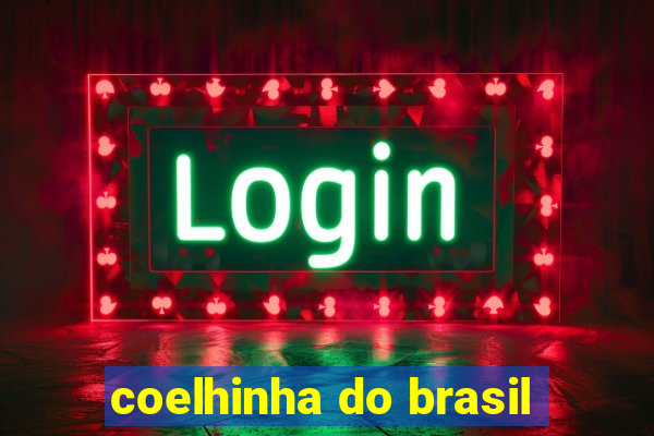 coelhinha do brasil